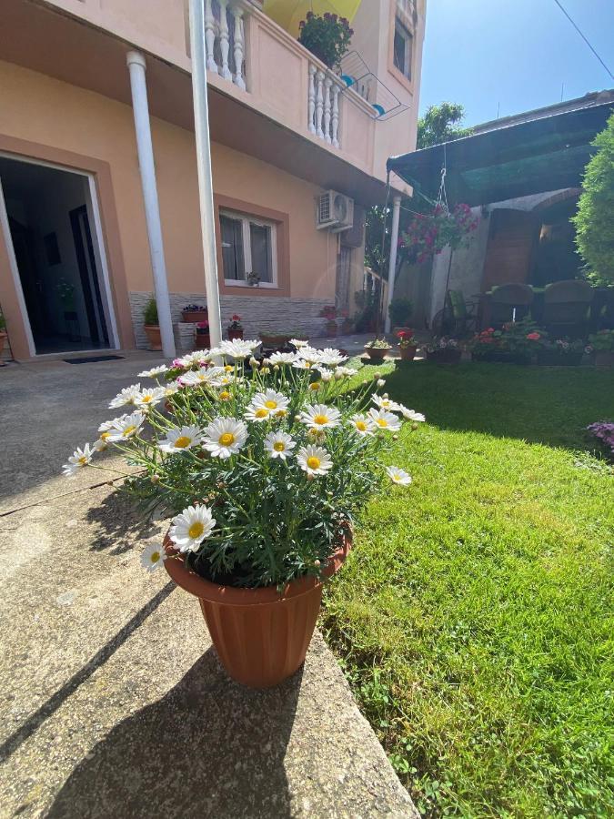 Apartment Dora زادار المظهر الخارجي الصورة