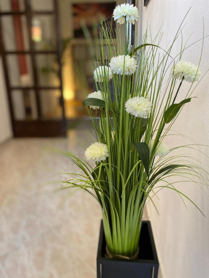 Apartment Dora زادار المظهر الخارجي الصورة