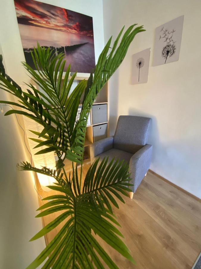 Apartment Dora زادار المظهر الخارجي الصورة