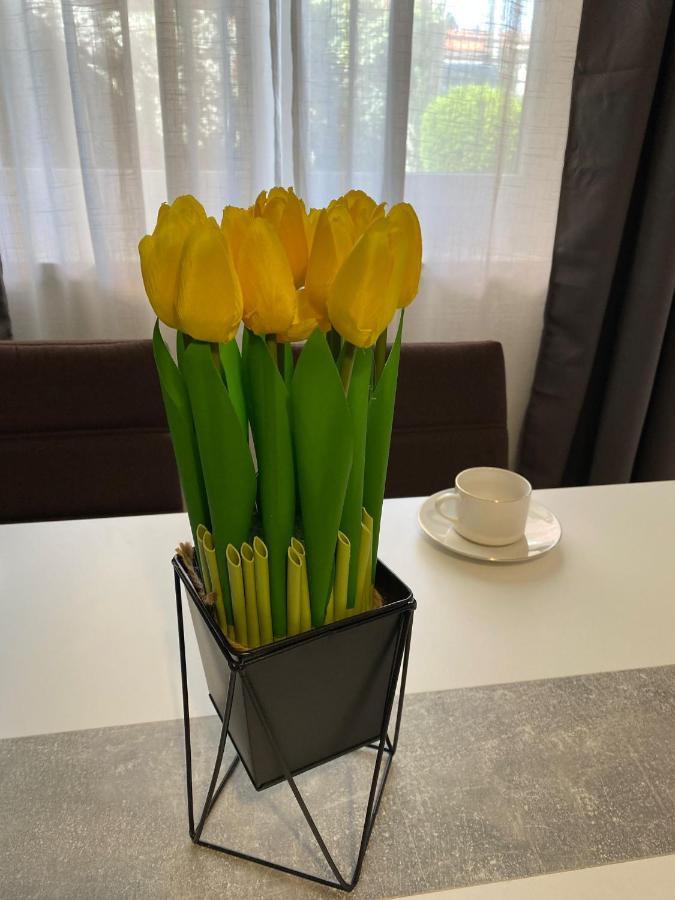 Apartment Dora زادار المظهر الخارجي الصورة